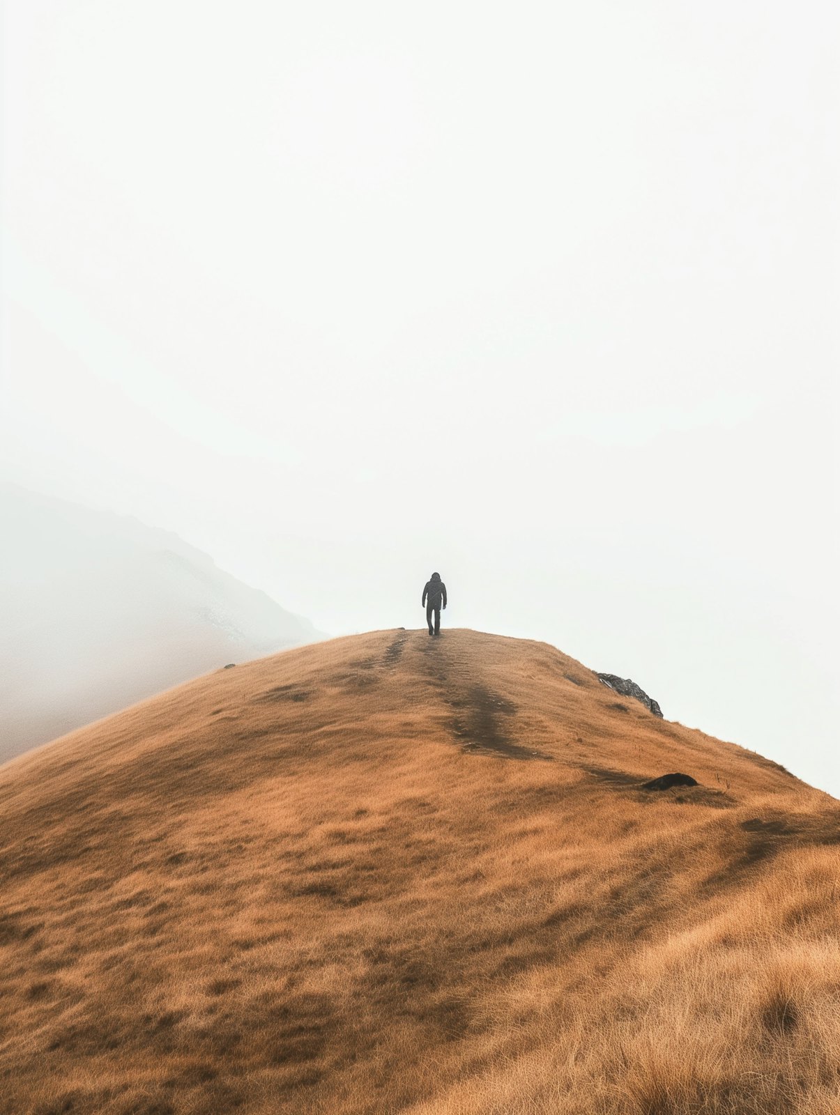 A lone walker on the crest of a golden grassy hill surrounded by thick fog